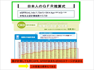 日本人のGFR推算式