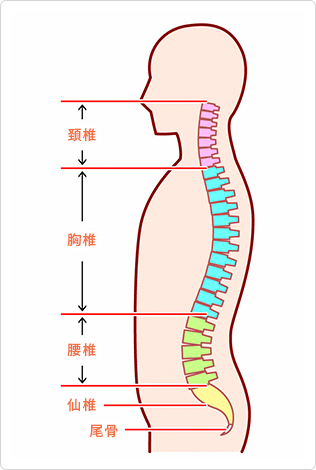 脊椎脊髄外科｜名古屋セントラル病院