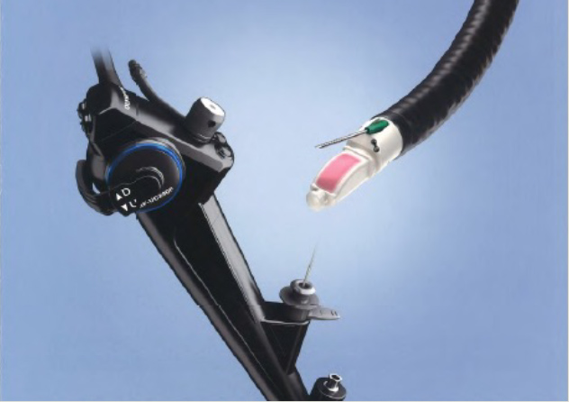 何を期待するか