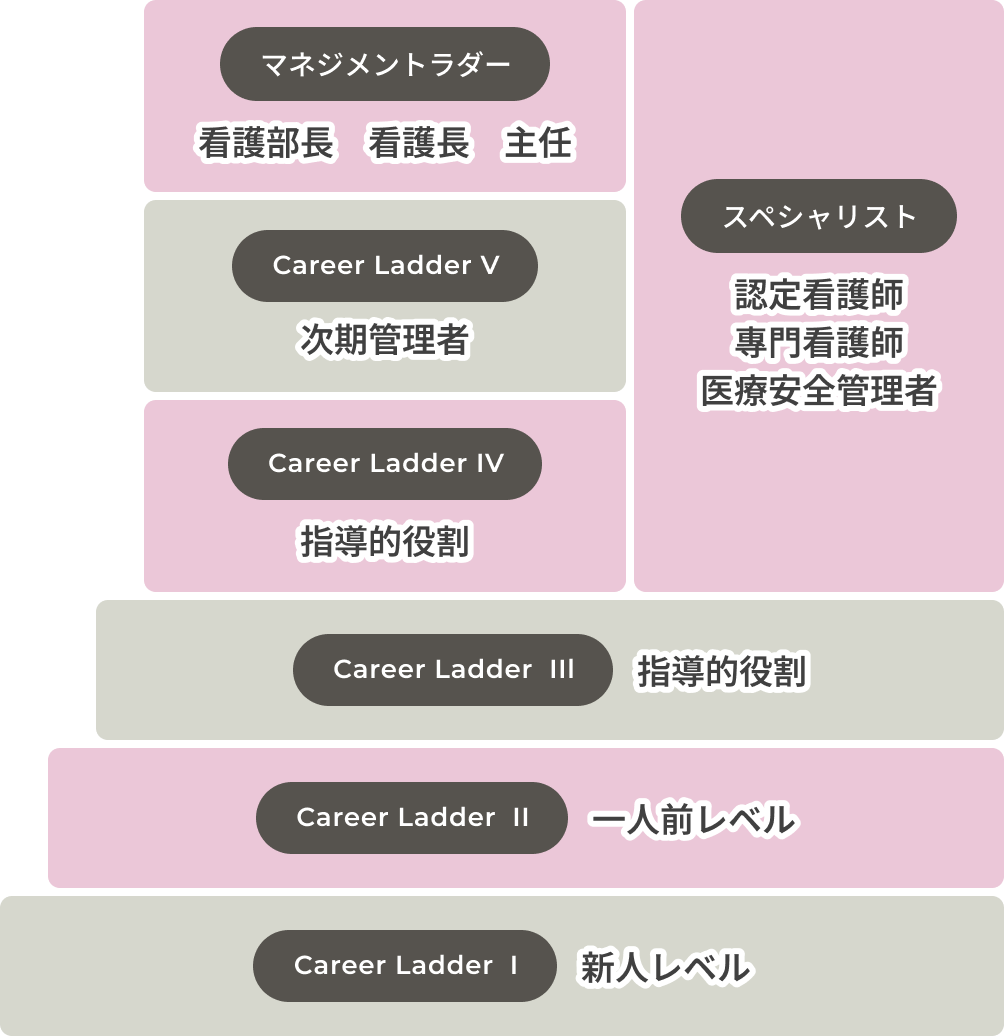 Career Ladder図